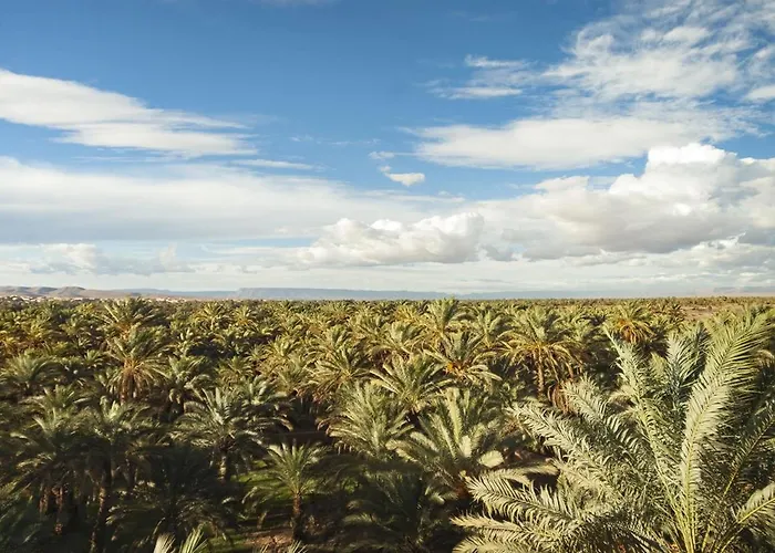 Desert Camp In Zagora - Camel Ride - Easy & Affordable Stays