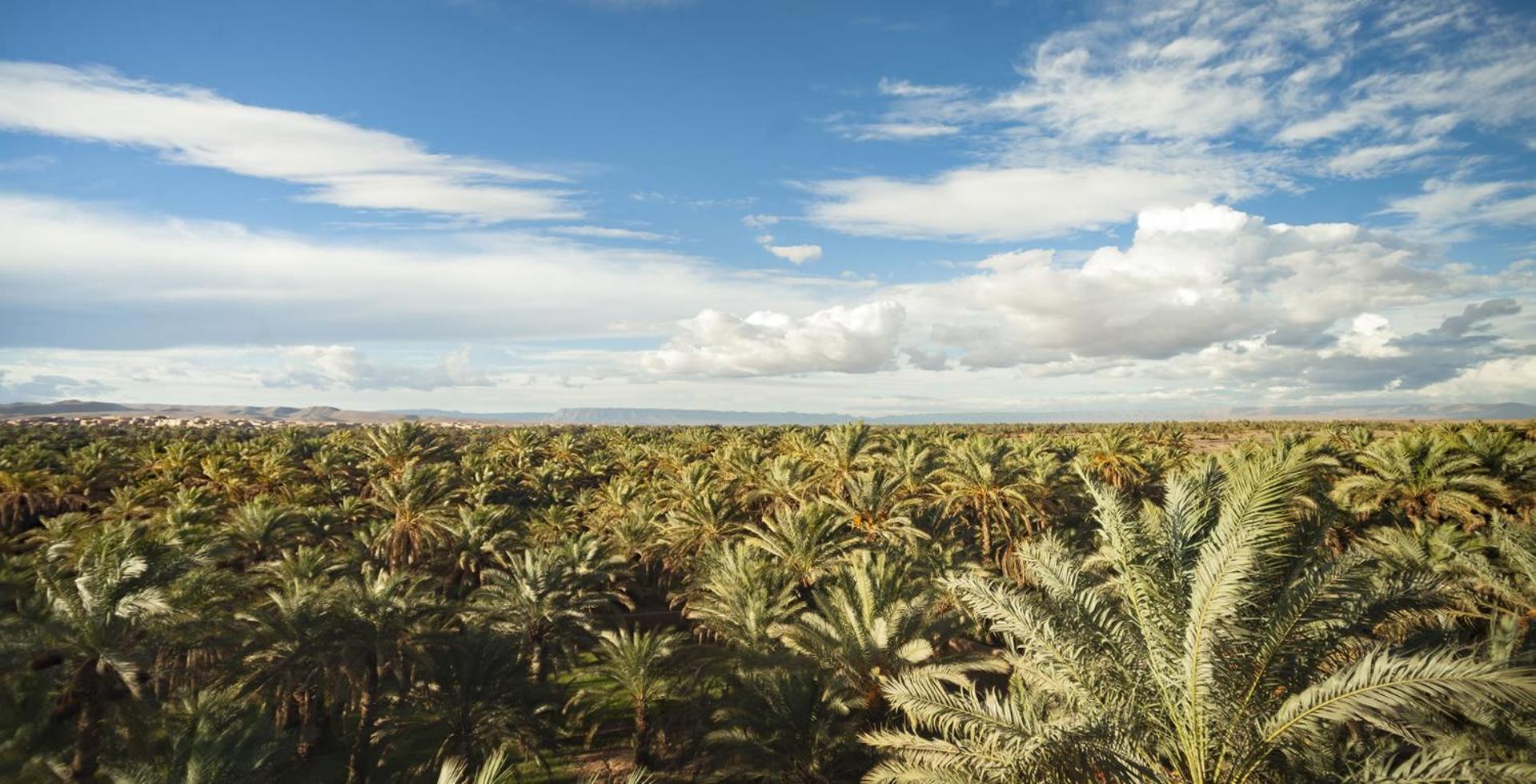 Desert Camp In - Camel Ride - Easy & Affordable Luxury tent Zagora